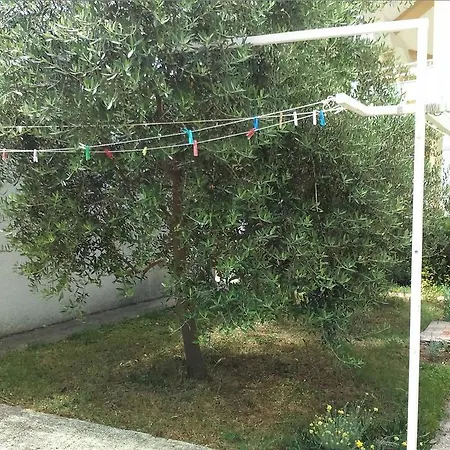 11628a Vodice
